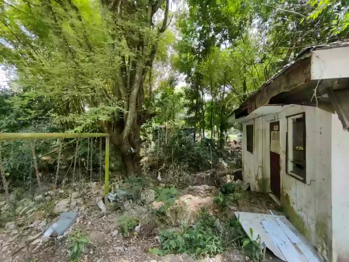 For Sale: 21,444 sqm Agricultural Lot in Santa Cruz, Liloan — Flat with Elevated Portion — Agricultural Lot in Santa Cruz, Liloan, Cebu — Photo 5