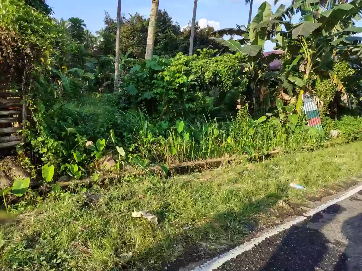 4500 sqm , commercial lot ,fronting national road — Commercial Lot in Pagadian City, Zamboanga del Sur, 7016 — Photo 4