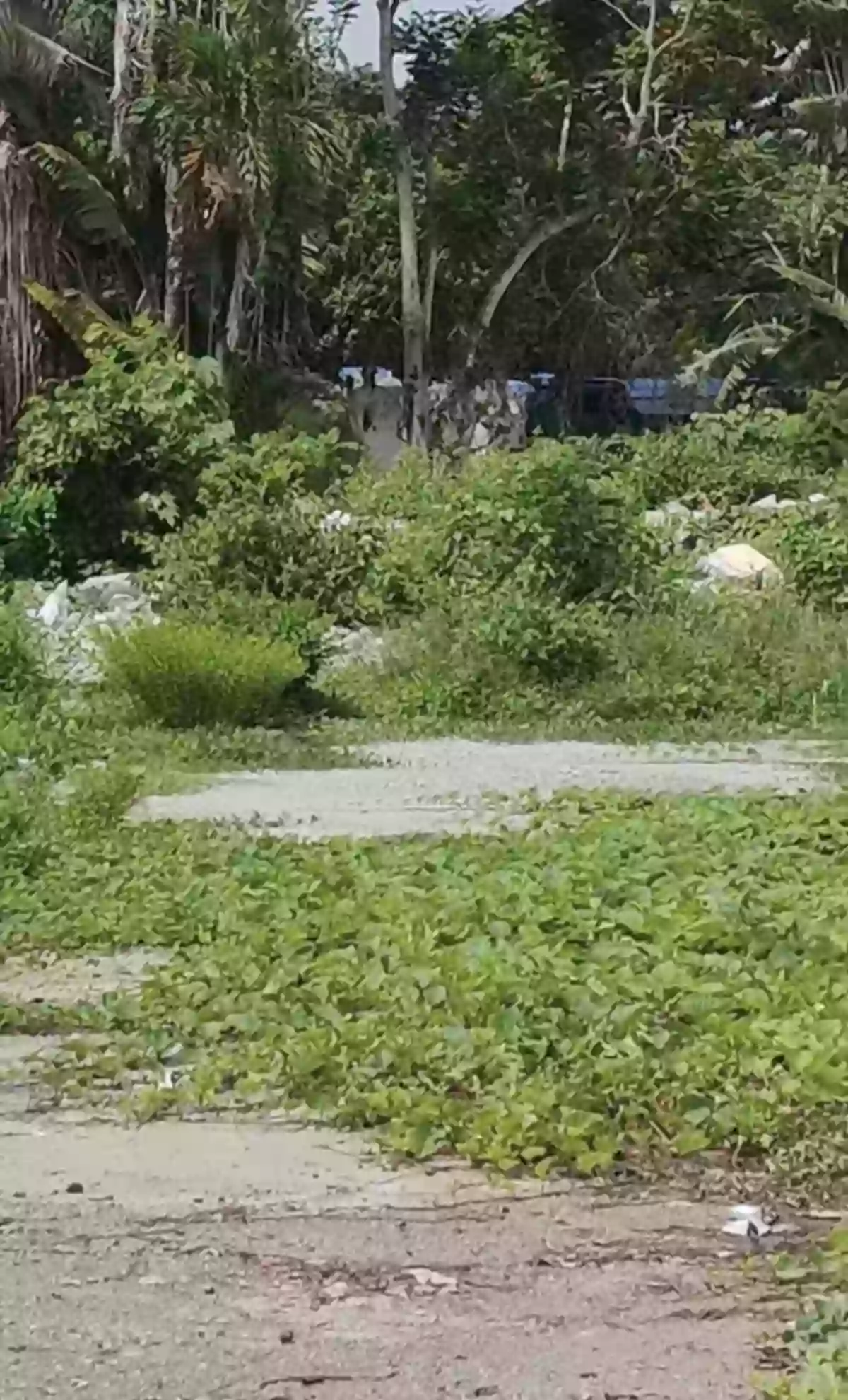 For sale lot only title — Industrial Lot in Biclatan, Gen. Trias, Cavite — Photo 4