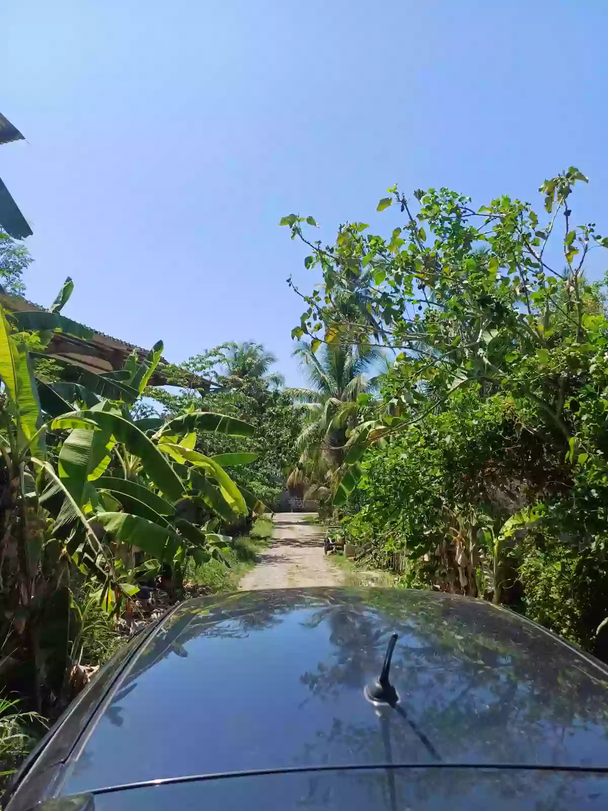 Residential Lot at Zone 1 Opol. — Residential Lot in Igpit, Opol, Misamis Oriental — Photo 4