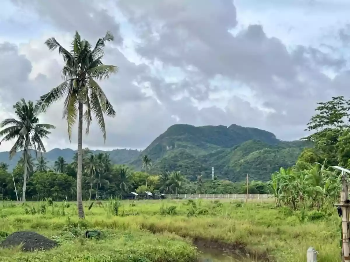 For Sale: Beach Lot in Caliling, Cauayan — 7,828 sqm — Beach Lot in Cauayan, Negros Occidental, 6112 — Photo 2