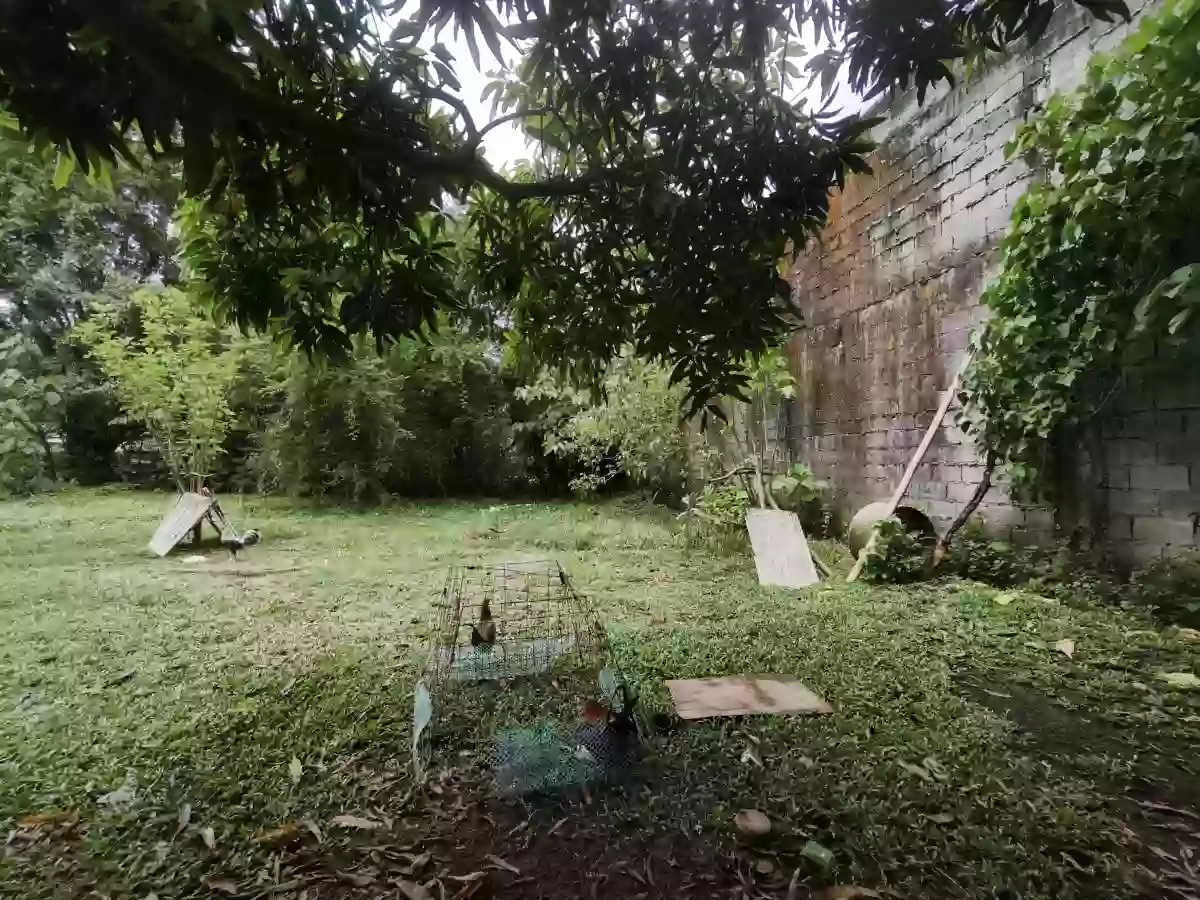 Residential lot for sale in Aganan, Pavia, Iloilo — Residential Lot in Pavia, Iloilo, Balabag — Photo 3