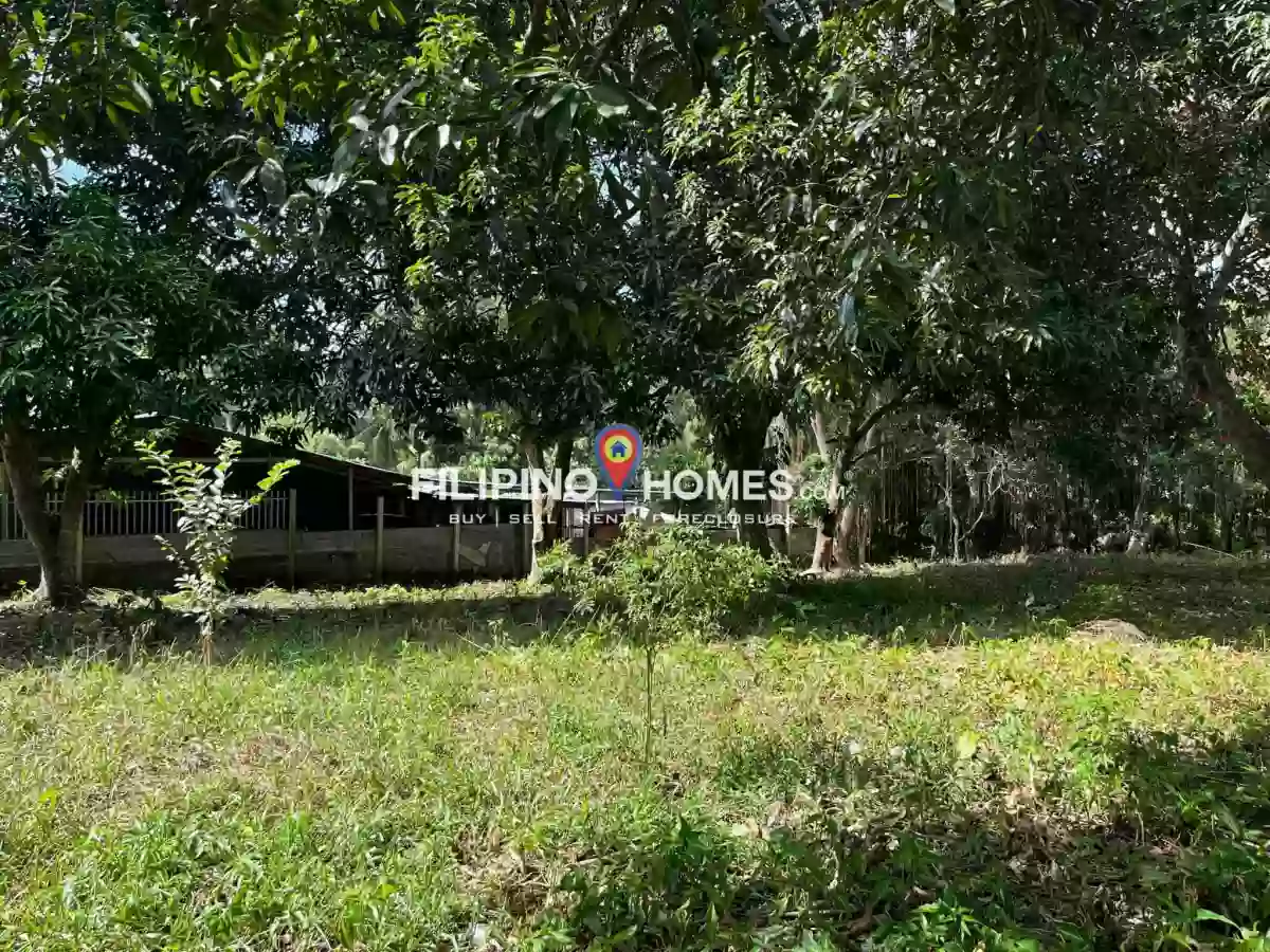 For Sale: 1400 sqm Agricultural Lot in Kiwanan, Midsayap — Agricultural Lot in Midsayap, Cotabato, 9410 — Photo 3