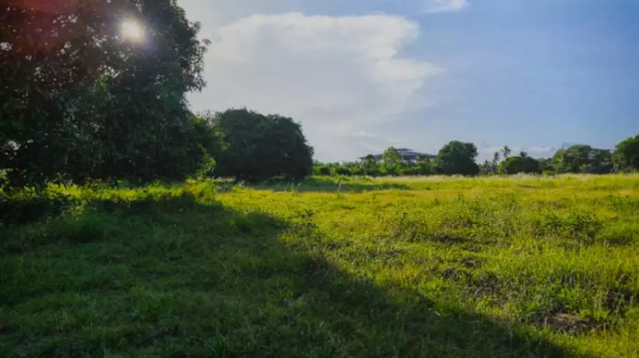 For Sale: 2 Hectare Lot in Poblacion, Alabel, Sarangani – Ideal for Investment - photo 6