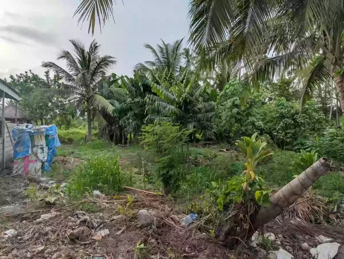 FOR SALE Residential Lot in Katangawan, General Santos City — 268 sqm — Residential Lot in General Santos City, South Cotabato, 9500 — Photo 2