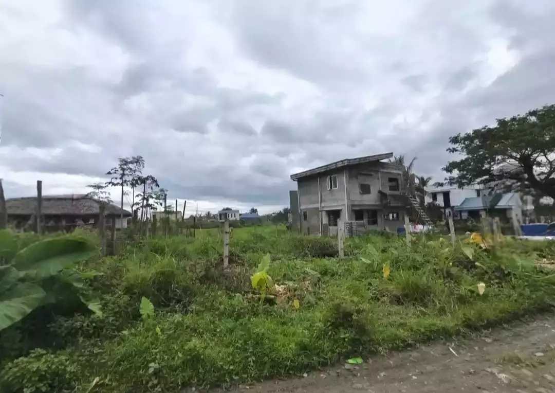 Residential Lot in Modern Village — Residential Lot in San Jose, Pili, Camarines Sur — Photo 5
