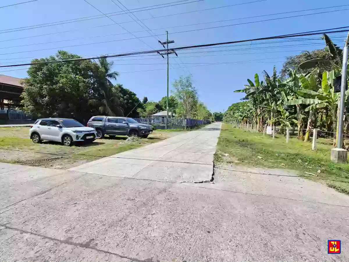 For Sale: 2,500sqm Corner Lot in San Miguel, Bacong, Negros Oriental [available] — Residential Lot in Bacung, Negros Oriental, 6216 — Photo 2