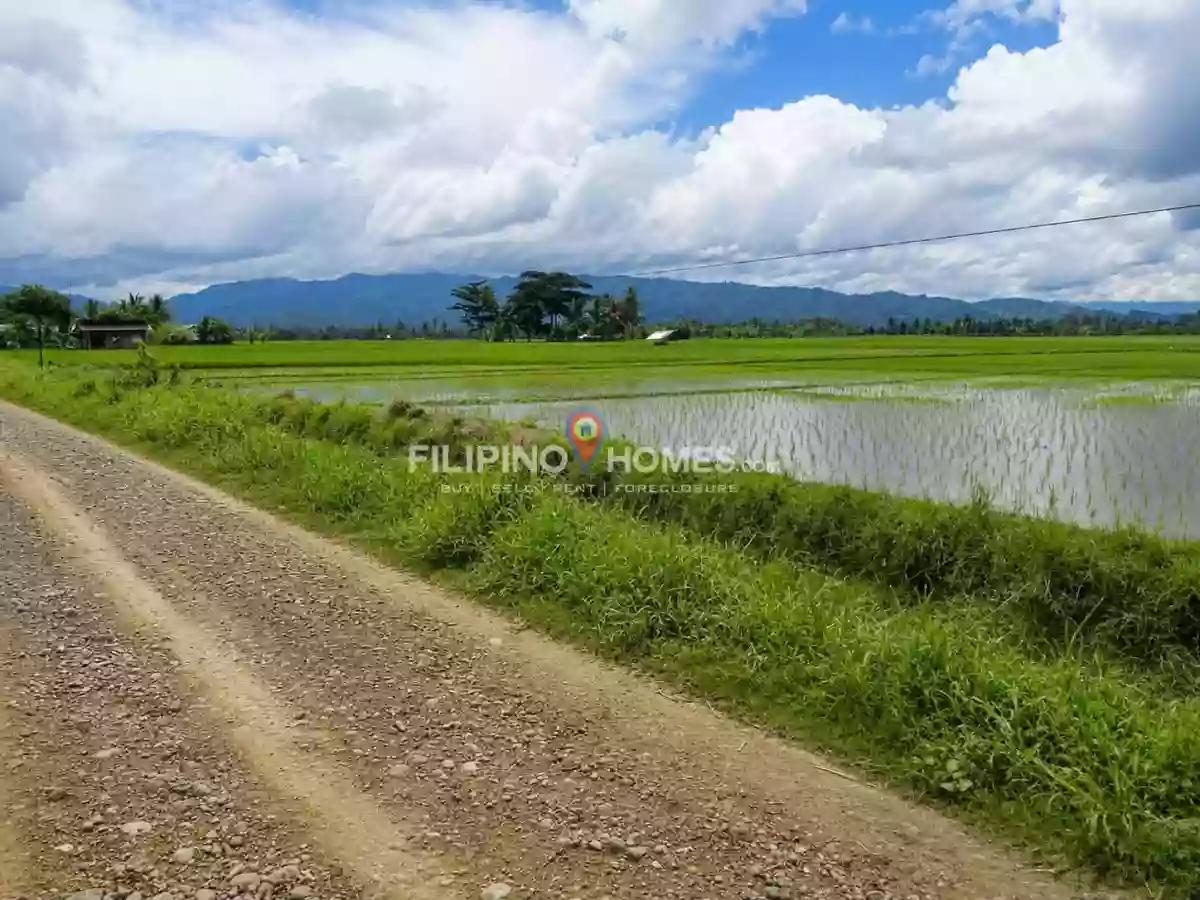 For Sale: Agricultural Lot in Gumaga, Libungan — 17217 sqm — Agricultural Lot in Libungan, Cotabato, 9411 — Photo 4