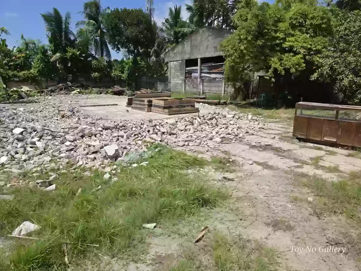 For Lease: 846 sqm Commercial Lot in Sangat, San Fernando Cebu — Commercial Lot in San Fernando, Cebu, 6018 — Photo 5