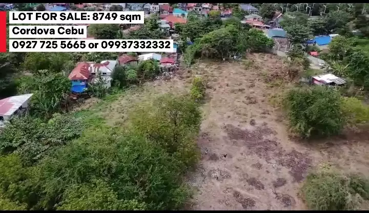 For Sale: Residential Lot in Poblacion, Cordova — 8749 sqm — Residential Lot in Cordova, Cebu, 6017 — Photo 2