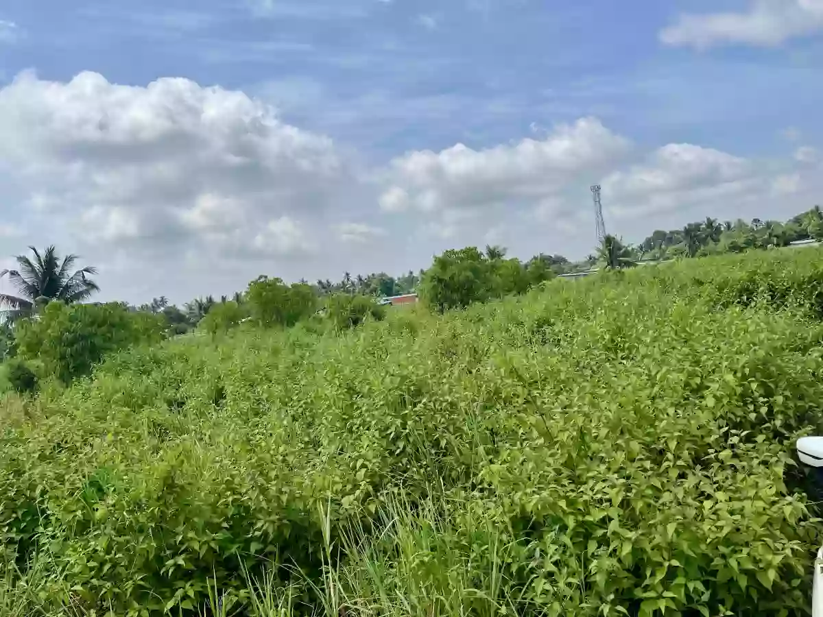 For Sale: Residential Lot in Silway 8, Polomolok — 3830 sqm — Residential Lot in Polomolok, South Cotabato, 9504 — Photo 4