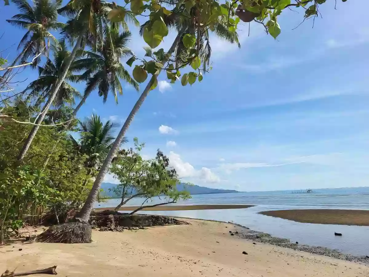 For Sale: Beach Lot in Manalo, Puerto Princesa City — Beach Lot in Puerto Princesa City, Palawan, 5300 — Photo 4