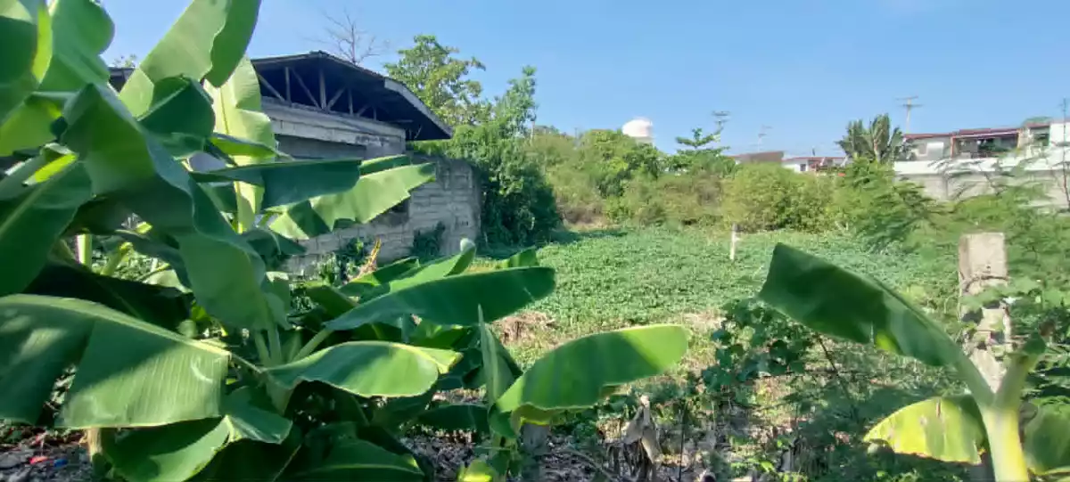 𝐅𝐎𝐑 𝐒𝐀𝐋𝐄 𝐑𝐄𝐒𝐈𝐃𝐄𝐍𝐓𝐈𝐀𝐋 𝐋𝐎𝐓 𝐈𝐍 𝐁𝐀𝐁𝐀𝐆, 𝐋𝐀𝐏𝐔 𝐋𝐀𝐏𝐔 𝐂𝐈𝐓𝐘 𝐂𝐄𝐁𝐔 𝐅𝐎𝐑 𝐏𝐇𝐏𝟐.𝟓𝐌 𝐎𝐍𝐋𝐘‼️