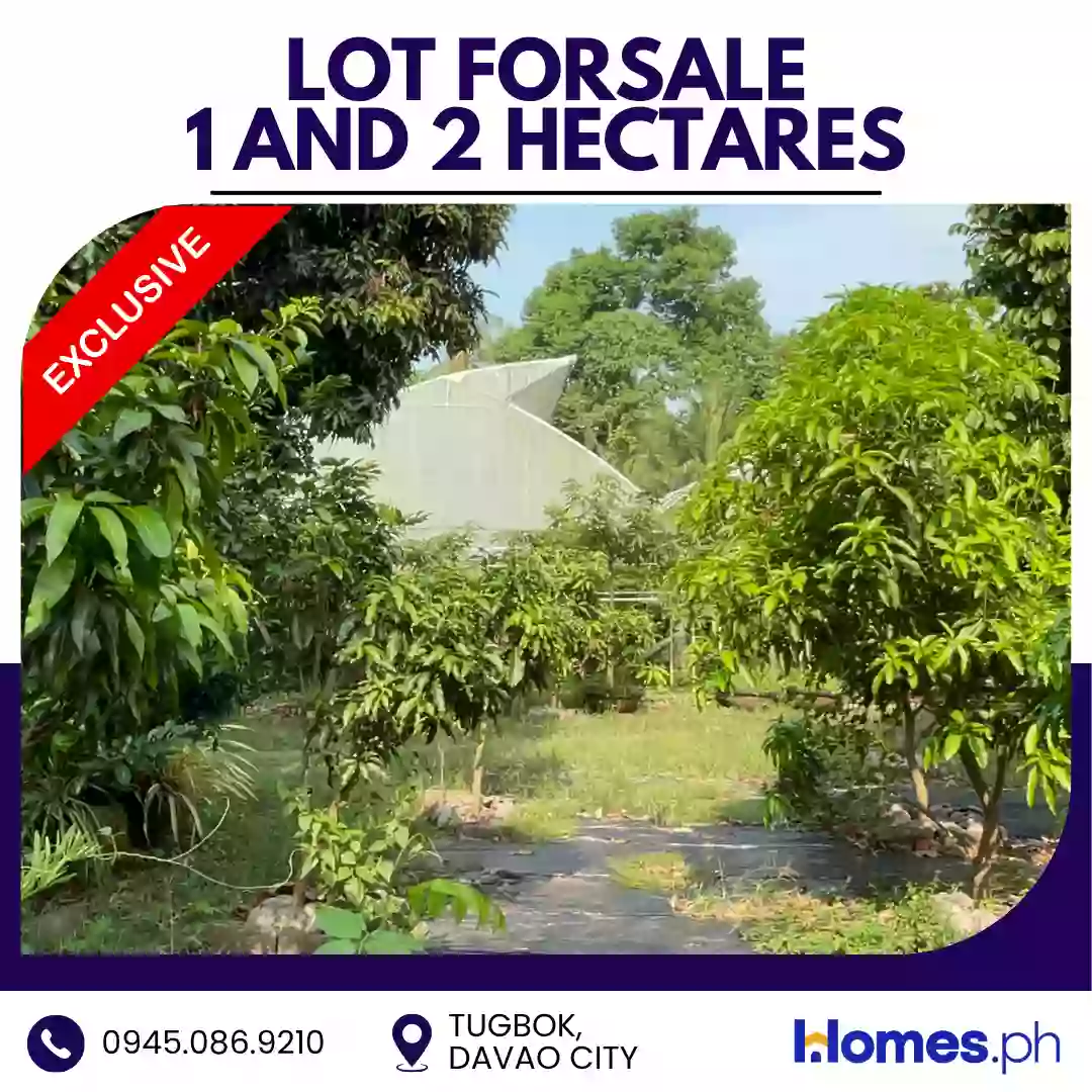 Open photo 14 of 16 — For Sale: Residential Lot in Tugbok (Pob.), Davao City — 30000 sqm