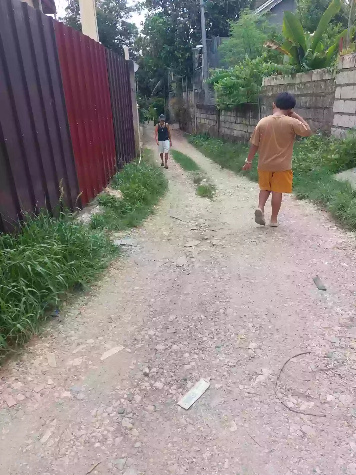 Residential Lot For Sale — Residential Lot in Poblacion, Liloan, Cebu — Photo 3