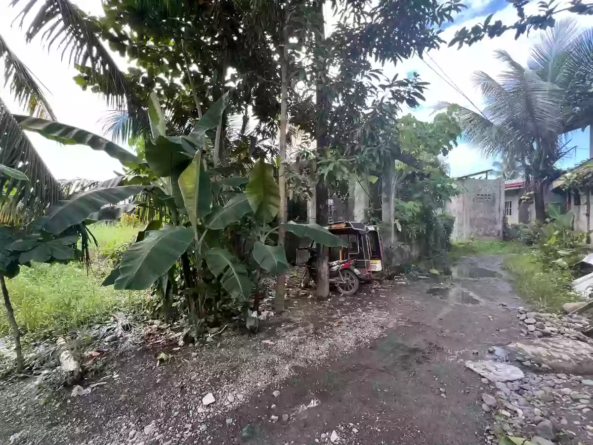 Rush Sale: Residential Lot Near Gaisano City Cabadbaran, Cabadbaran City — 492 sqm — Residential Lot in Cabadbaran City, Agusan del Norte, 8605 — Photo 5