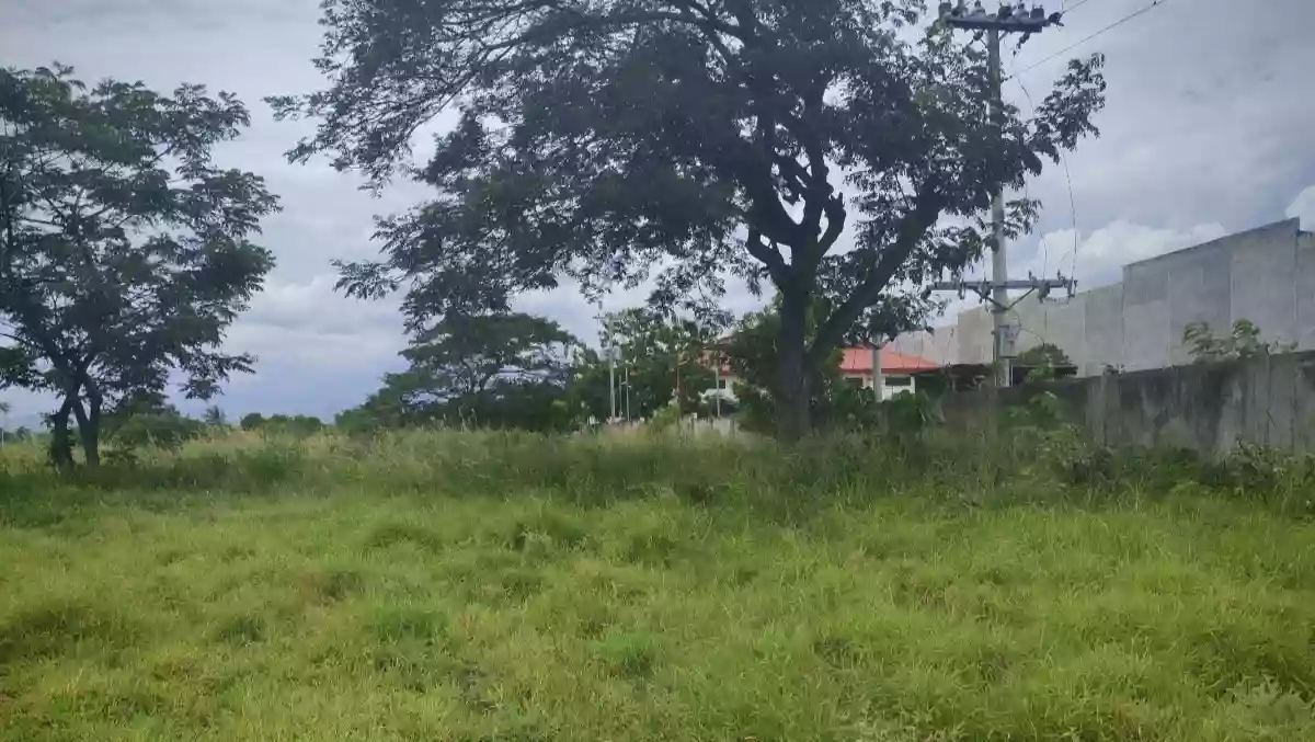 Commercial lot — Commercial Lot in Tambler, Gen. Santos City, South Cotabato — Photo 5