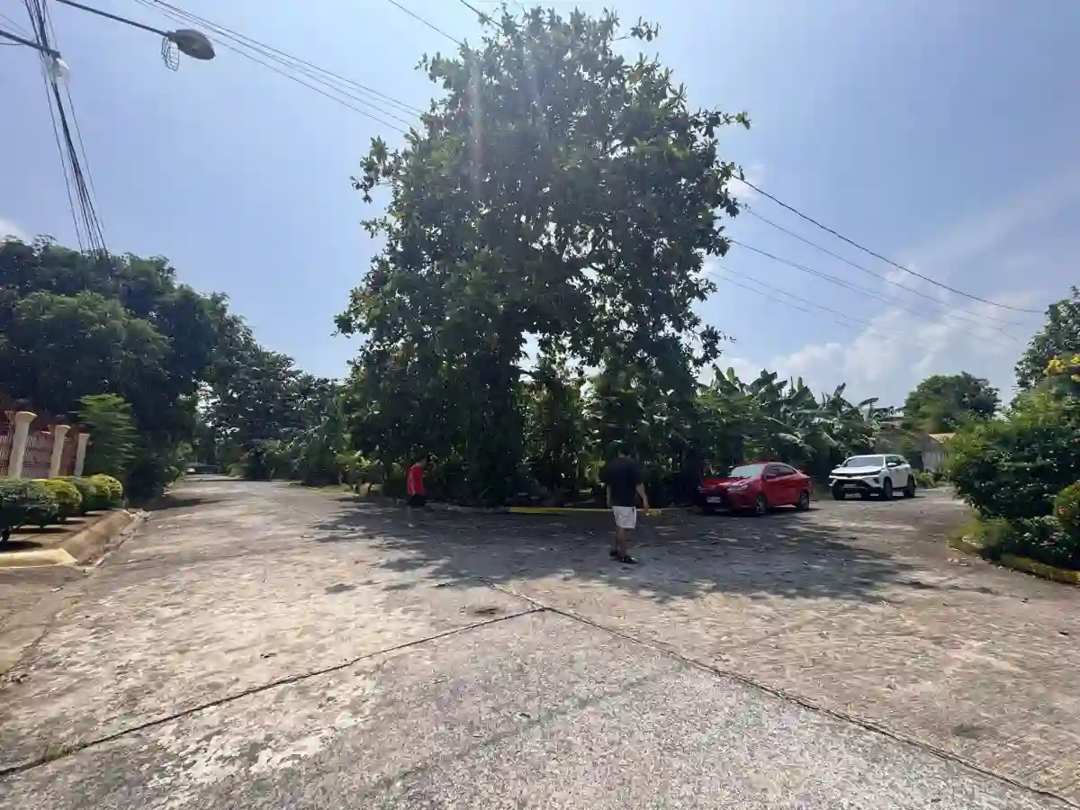 633 SQM Corner Lot For Sale at Executive Village, Carmela Valley Homes Subd. Talisay.. — Residential Lot in Zone 12 (Pob.), Talisay, Negros Occidental — Photo 4