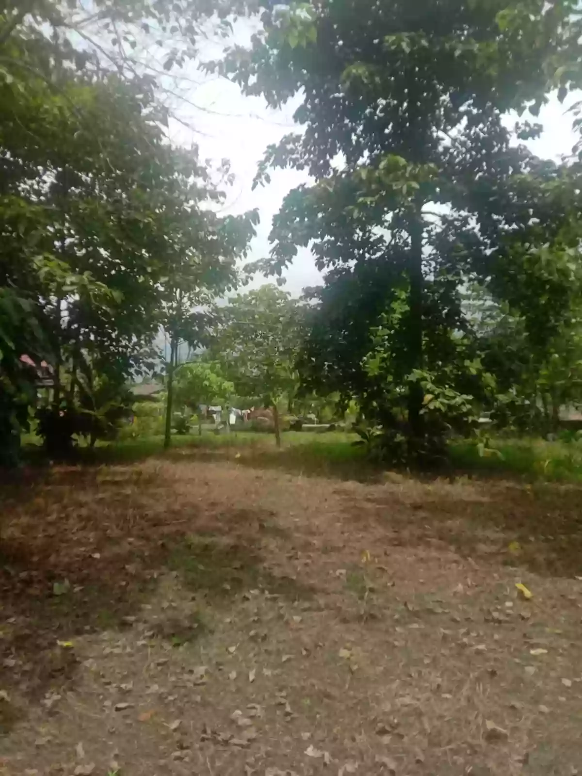 For Sale: Agricultural Lot in Tubtub, Brooke’s Point —  6,743 sqm — Agricultural Lot in Brooke’s Point, Palawan, 5305 — Photo 5