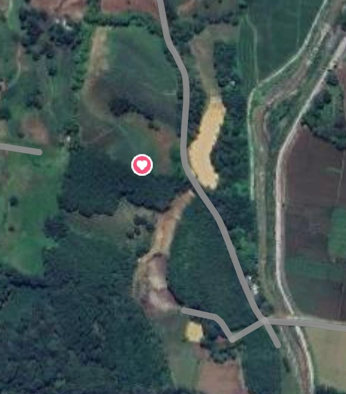 For Sale: Agricultural Lot Near National Highway, Kalilangan — 167000 sqm — Agricultural Lot in Kalilangan, Bukidnon, 8718 — Photo 4