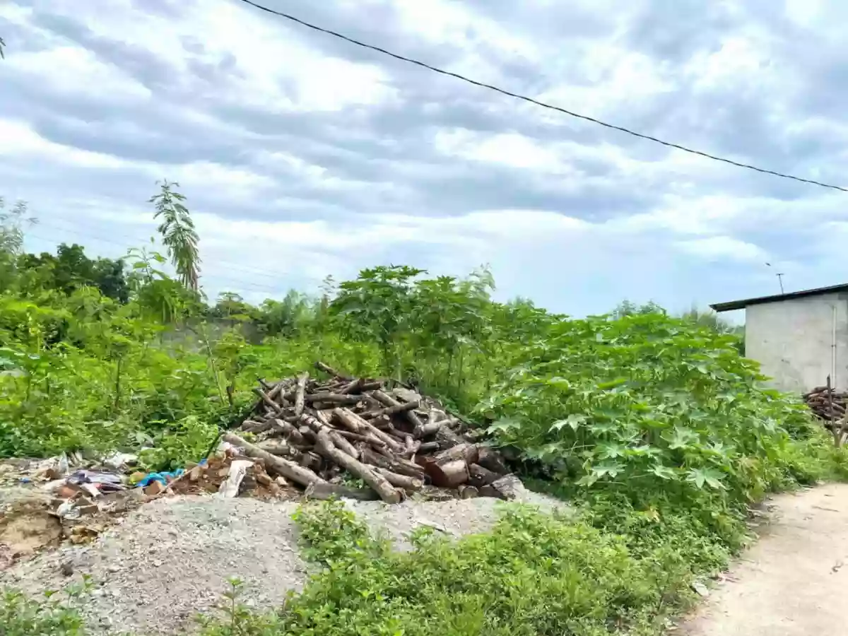For Sale: Industrial Lot in Telapayong, Arayat — 3250 sqm — Industrial Lot in Arayat, Pampanga, 2012 — Photo 2