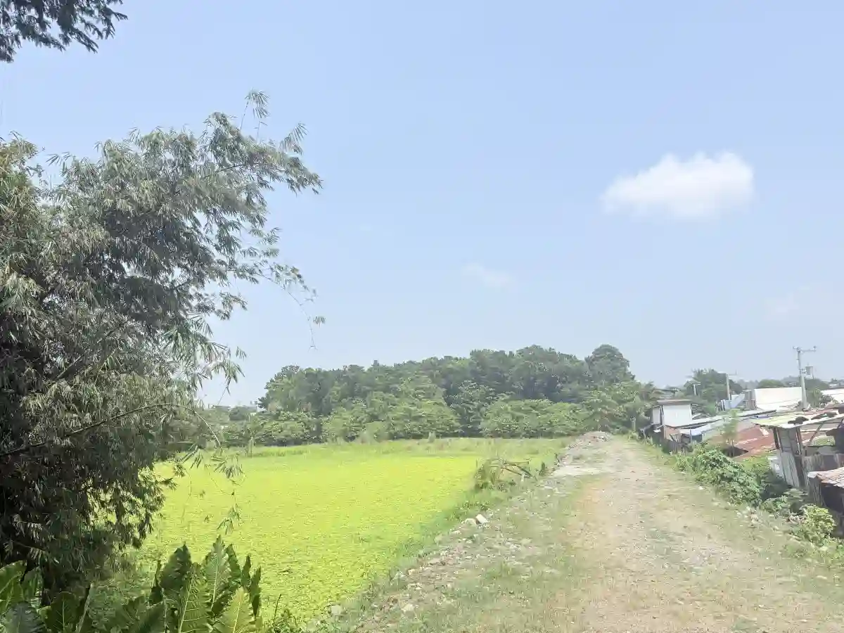 for sale Residential Lot in Buhangin (Pob.), Davao City — 40314 sqm — Residential Lot in Buhangin (Pob.), Davao City, Davao del Sur — Photo 6