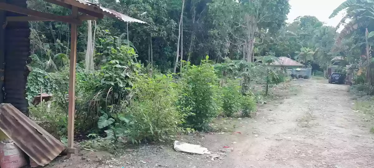 For Sale: Residential Lot in Singao, Kidapawan City — 400 sqm — Residential Lot in Singao, Kidapawan City, Cotabato — Photo 7