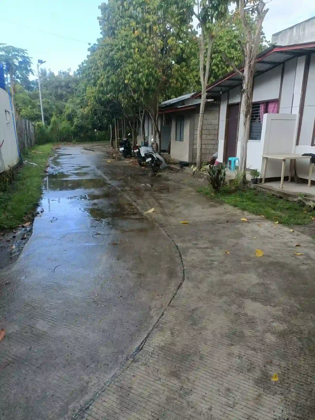For Sale: Residential Lot in Balayagmanok, Bacung — 10957 sqm — Residential Lot in Bacung, Negros Oriental, 6216 — Photo 5