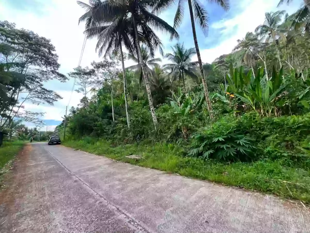 For Sale: Agricultural Lot in Bangayan, Kitcharao — 29997 sqm — Agricultural Lot in Kitcharao, Agusan del Norte, 8609 — Photo 4