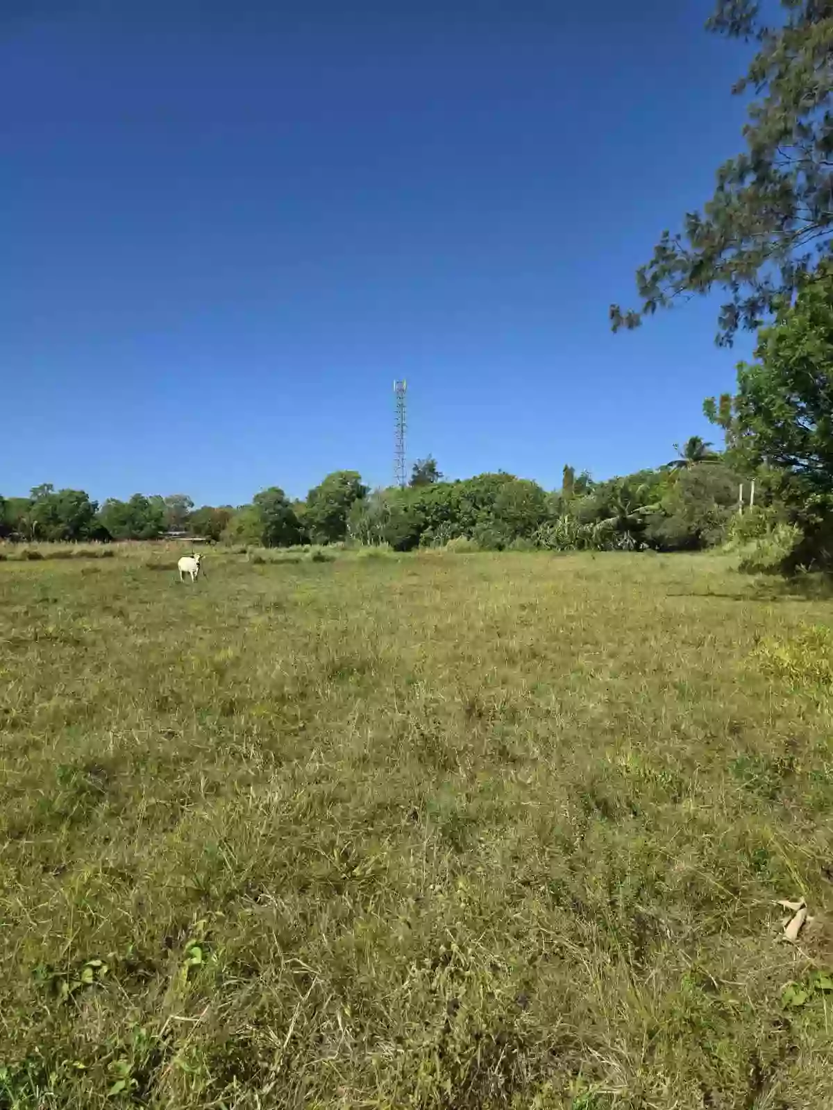 For Sale: Commercial Space Near Botolan Peoples Plaza, Botolan — Space in Carael, Botolan, Zambales — Photo 4