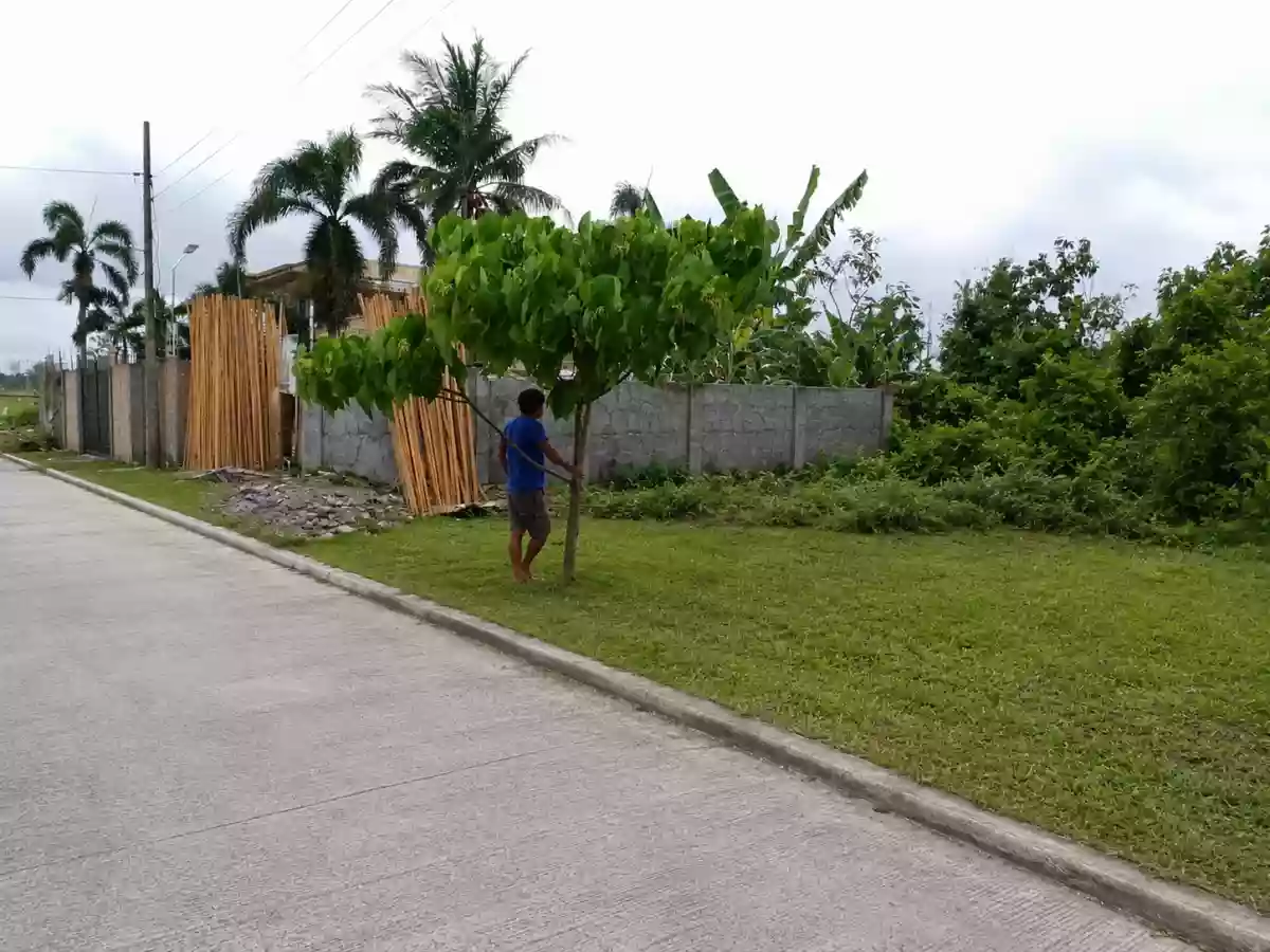 For Sale: Residential Lot in Cadlan, Pili, Camarines Sur — 216 sqm