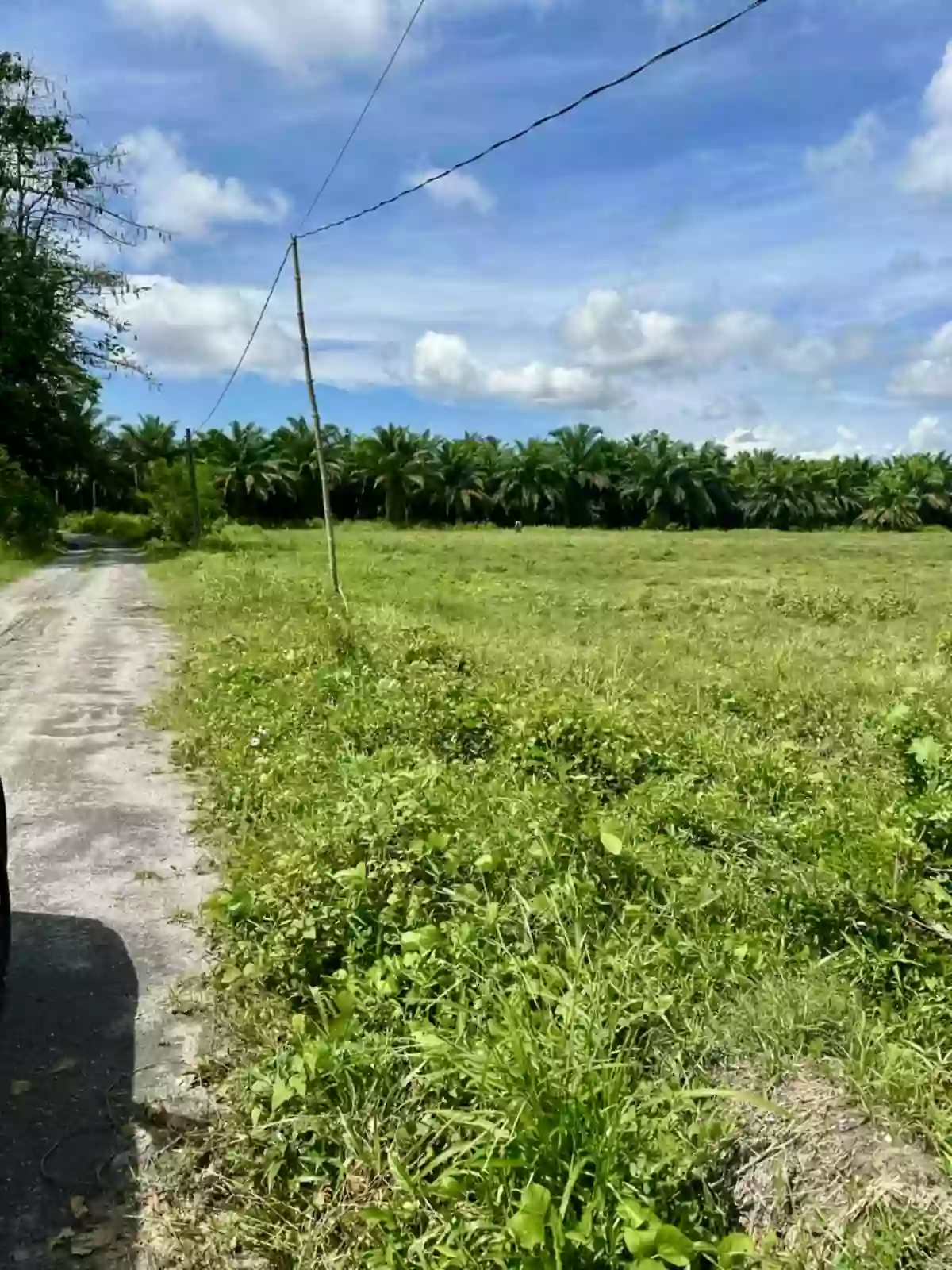 For Sale: Agricultural Lot in Barangay Impao, Isulan, Sultan Kudarat — 24, 953 sqm — Agricultural Lot in Isulan, Sultan Kudarat, 9805 — Photo 3