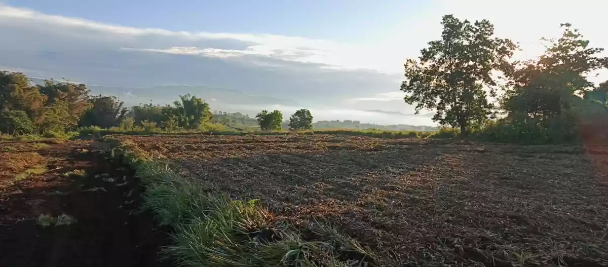 Kalasungay Agricultural Lot for Sale in Malaybalay — 326119 sqm Investment — Agricultural Lot in Malaybalay, Bukidnon, 8700 — Photo 5