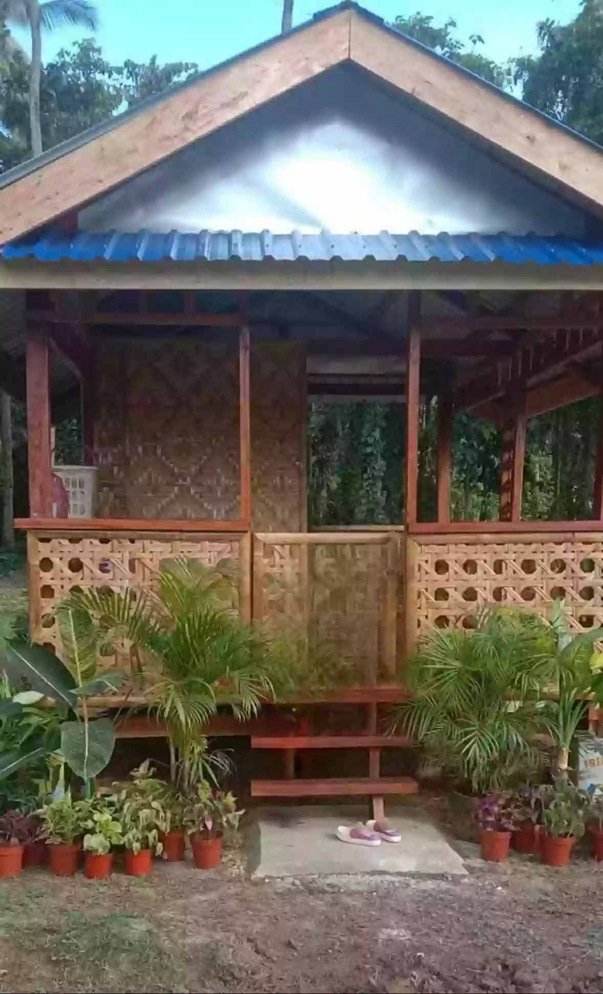 For Sale: Agricultural Lot in Tubtub, Brooke’s Point —  6,743 sqm — Agricultural Lot in Brooke’s Point, Palawan, 5305 — Photo 3