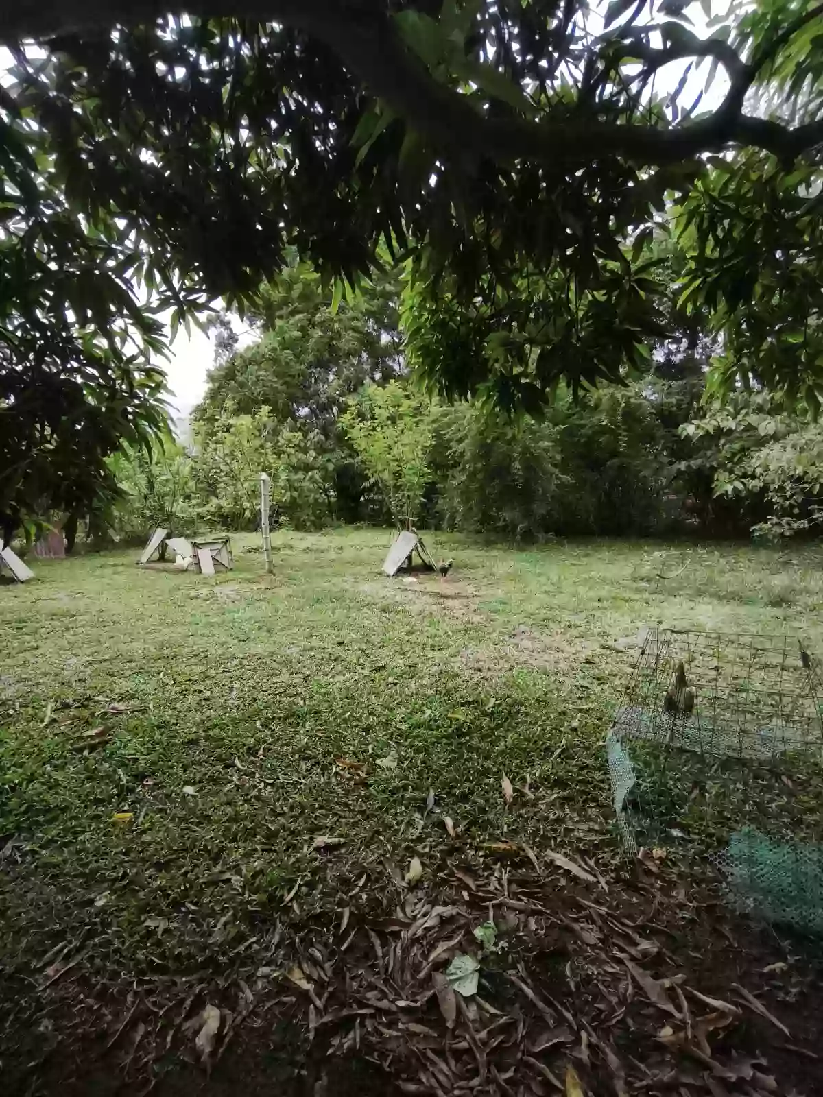 Residential lot for sale in Aganan, Pavia, Iloilo — Residential Lot in Pavia, Iloilo, Balabag — Photo 6