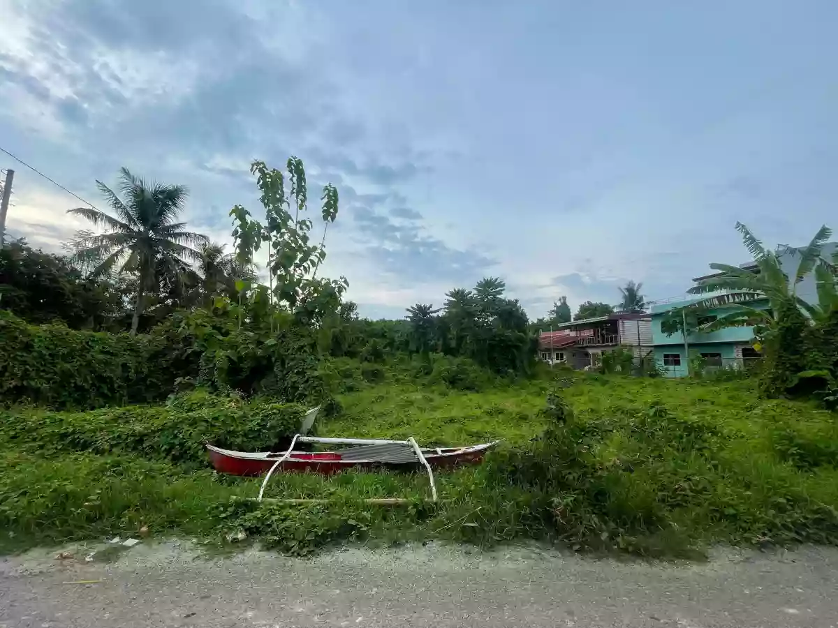 For Sale: Residential Lot in Booy, Tagbilaran City — 505 sqm