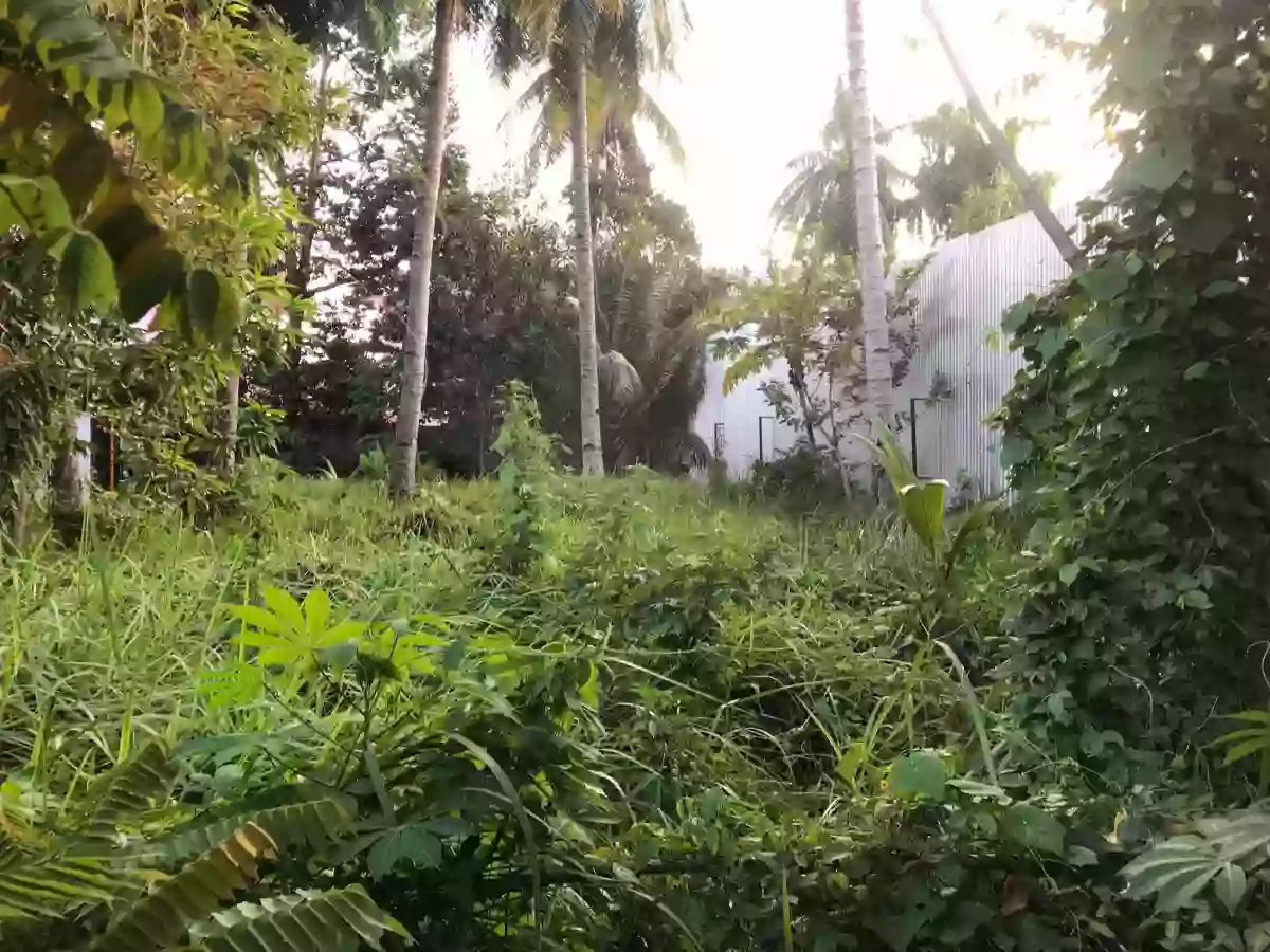 🔥 PRIME LOT FOR SALE | Bajada, Davao City 🔥 — Residential Lot in Davao City, Davao del Sur, 8000 — Photo 2