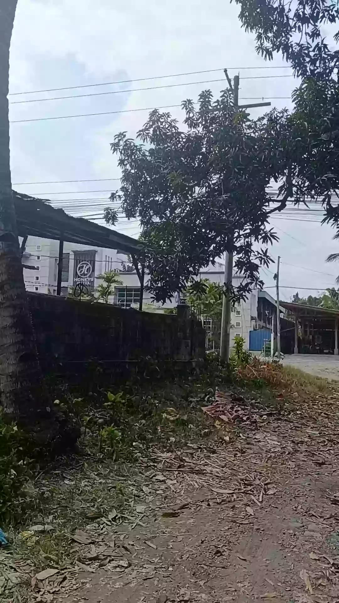 For Sale Commercial Lot in Matiao, Mati City — 7,329 sqm — Commercial Lot in Matiao, Mati, Davao Oriental — Photo 2