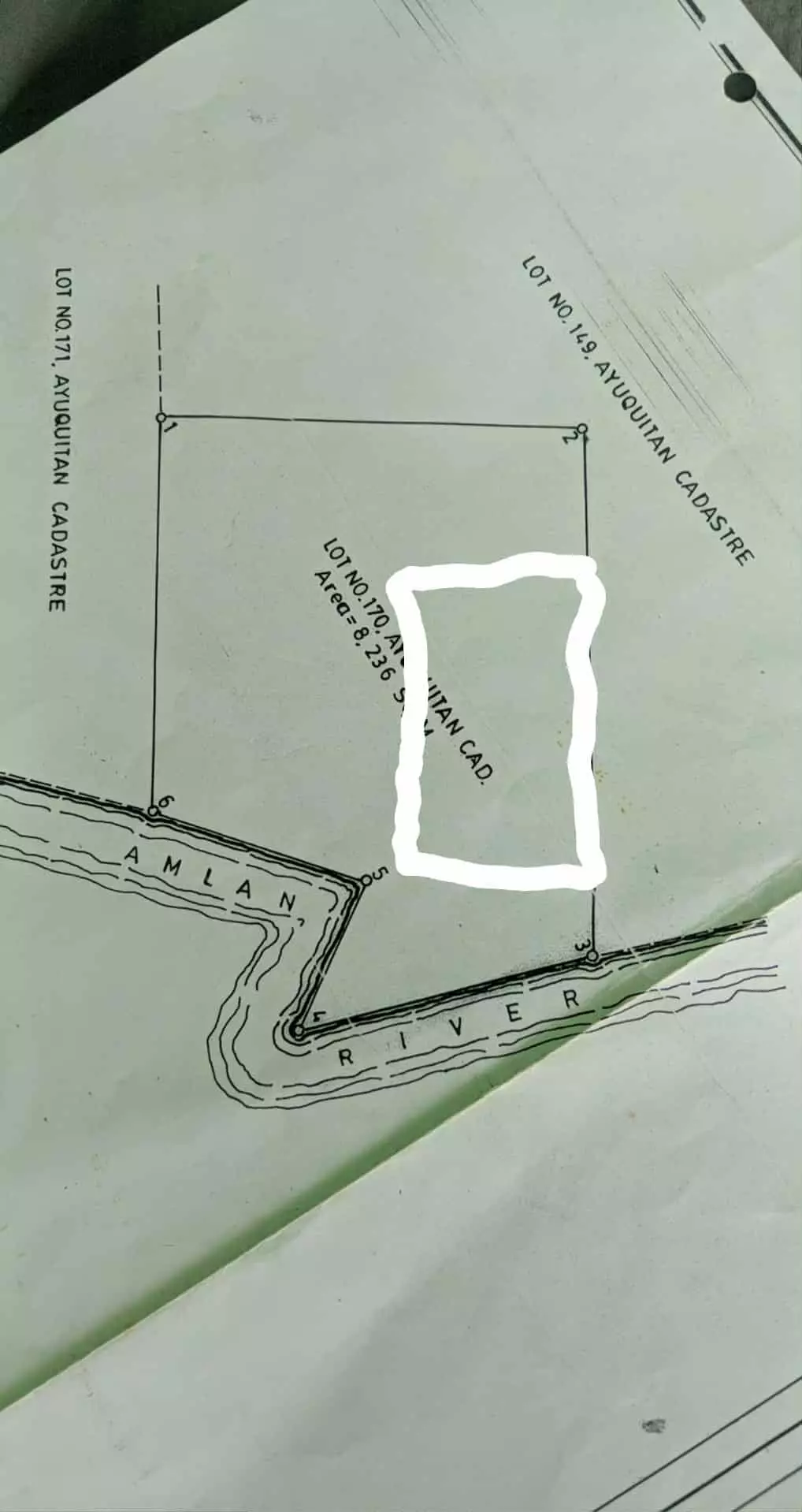 LOT FOR SALE In AMLAN, NEGROS ORIENTAL — Agricultural Lot in Amlan, Negros Oriental, 6203 — Photo 3