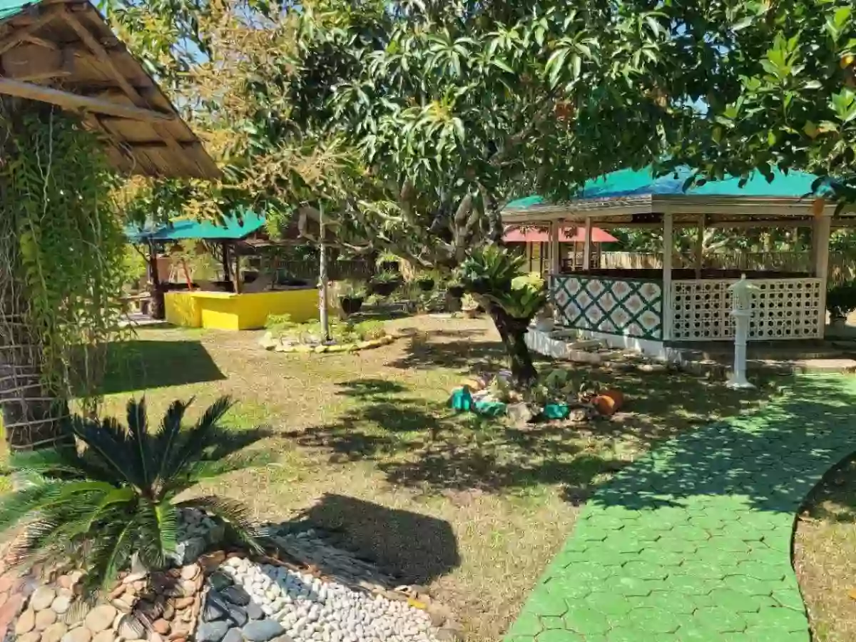 For Sale: 8130 sqm Residential Lot Property in Bacungan, Puerto Princesa City — Residential Lot in Puerto Princesa City, Palawan, 5300 — Photo 5