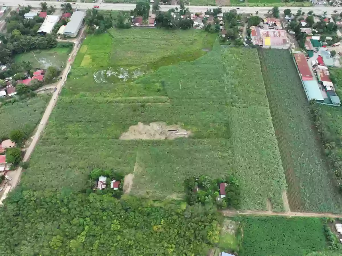 Agricultural Lot — Agricultural Lot in Don Carlos, Bukidnon, 8712 — Photo 4