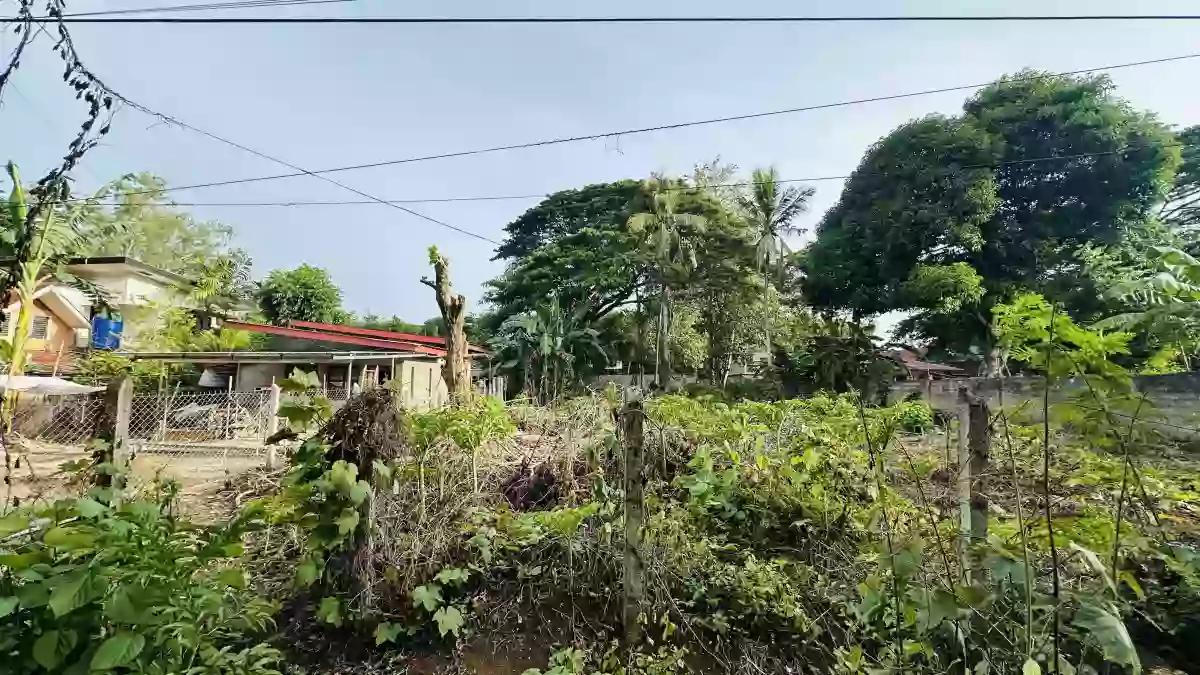 For Sale: Residential Lot in Bancao-bancao, Puerto Princesa City — 1,663.40 sqm — Residential Lot in Bancao-bancao, Puerto Princesa City, Palawan — Photo 4