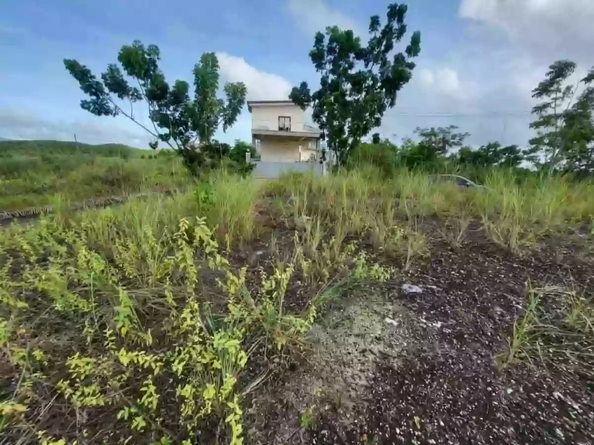 For Sale: Residential Lot in Cogon, Compostela — 191 sqm (corner lot) — Residential Lot in Compostela, Cebu, 6003 — Photo 5