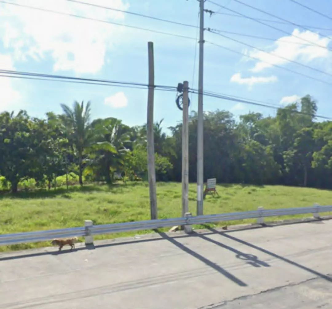 Industrial/Commercial Lot for Sale — Industrial Lot in Pili, Camarines Sur, 4418 — Photo 2