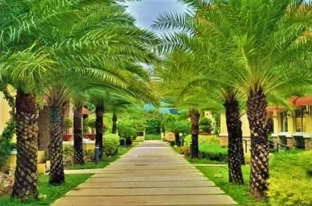 Below Market Value Condo At San Remo Oasis Cebu! — Studio in Cebu City, Cebu, Inayawan — Photo 5