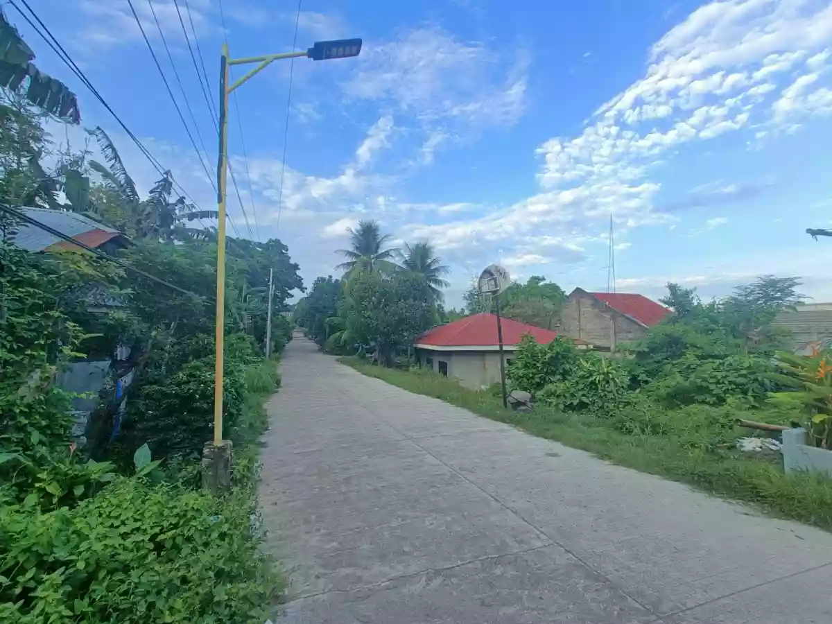 For Sale: Residential Lot in Poblacion I, Dauin — 138 sqm — Residential Lot in Dauin, Negros Oriental, 6217 — Photo 3