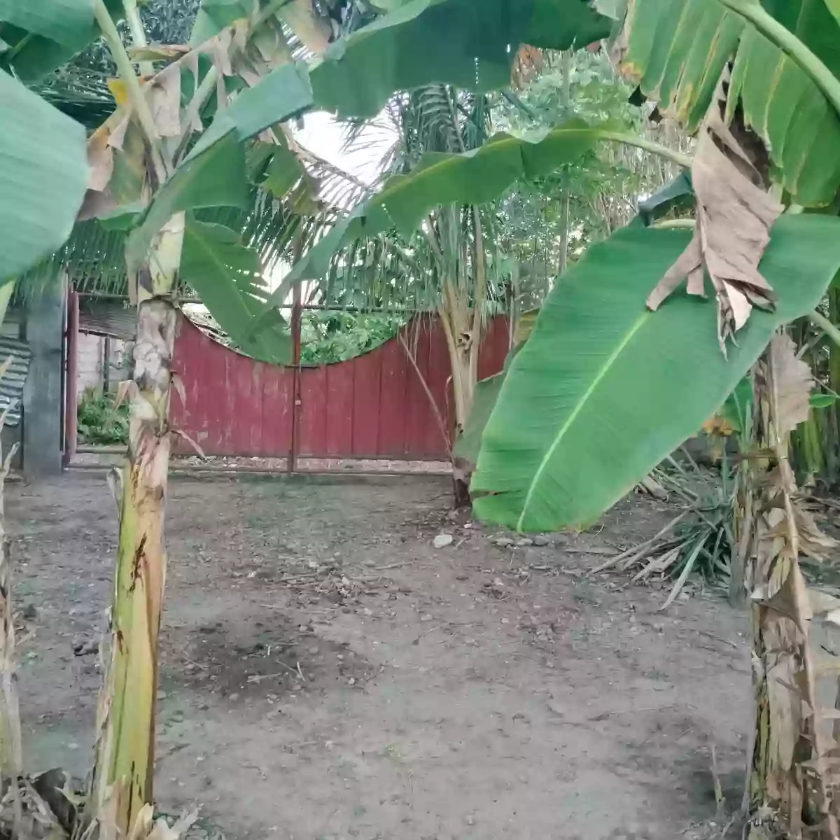 For Sale: Residential Lot in San Isidro, General Santos City — 1000 sqm