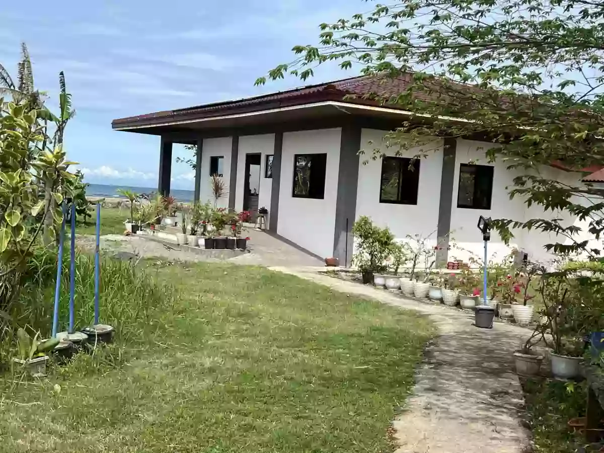 For Sale: Beach Lot in Caliling, Cauayan — 7,828 sqm — Beach Lot in Cauayan, Negros Occidental, 6112 — Photo 3