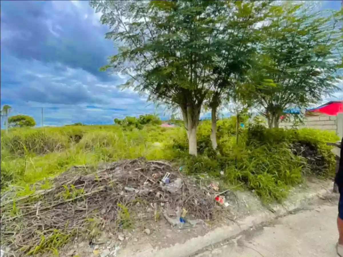 For Sale: Residential Lot in Santa Cruz, Liloan, Cebu — 276 sqm — Residential Lot in Liloan, Cebu, 6002 — Photo 7