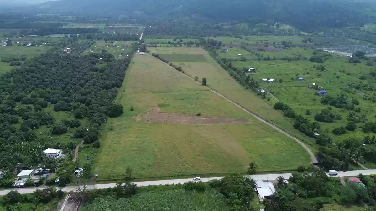 For Sale: Agricultural Lot in Cannery Site, Polomolok — 150000 sqm